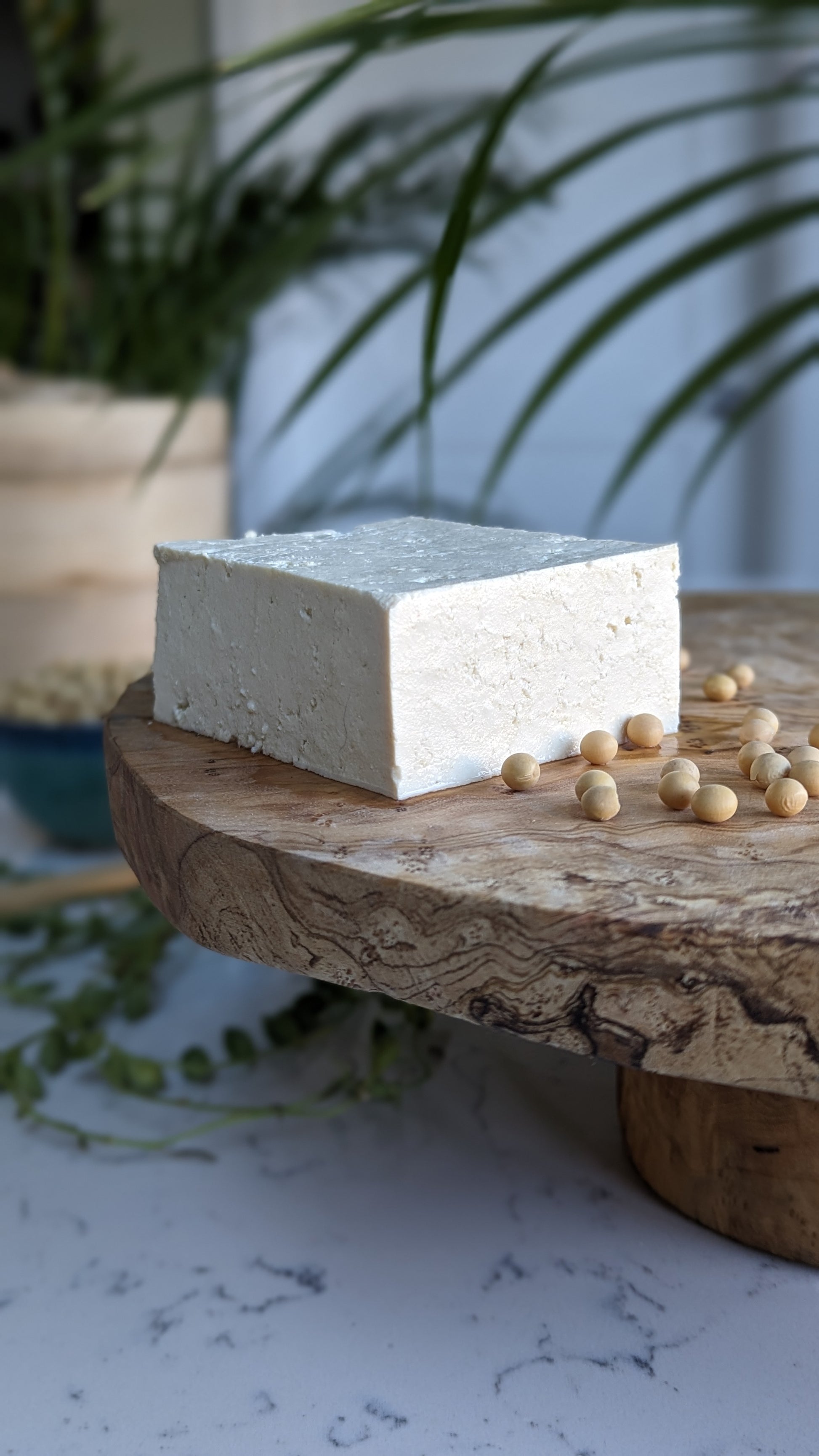 "Organic tofu block displayed on a wooden stand with surrounding soybeans."